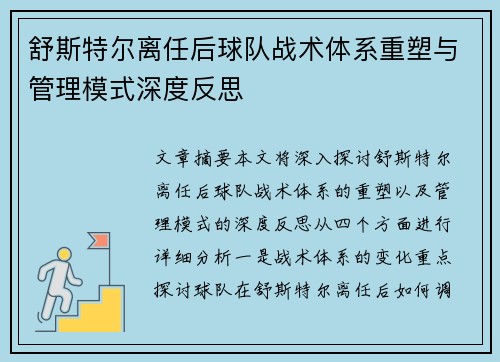 舒斯特尔离任后球队战术体系重塑与管理模式深度反思 舒斯特尔离任后球队战术体系重塑与管理模式深度反思