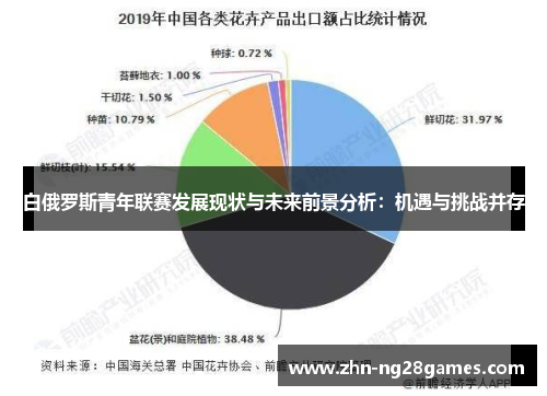白俄罗斯青年联赛发展现状与未来前景分析:机遇与挑战并存 白俄罗斯青年联赛发展现状与未来前景分析:机遇与挑战并存