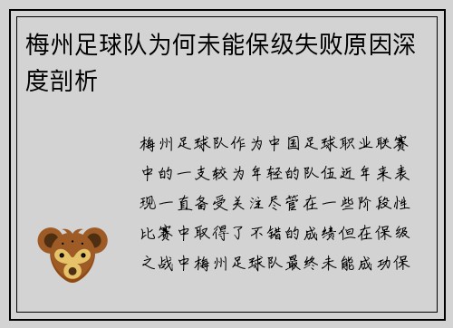 梅州足球队为何未能保级失败原因深度剖析
